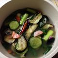 おにおんさらだ's cooksnap of when they made 小麦粉でムルキムチ（水キムチ）.