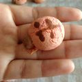 そぷらにーの's cooksnap of when they made ＊＊てんとう虫たまごボーロ＊＊.