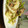 bonj's cooksnap of when they made かぶの粒マスタード炒め.