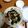 ayumitchy's cooksnap of when they made 長いもとワカメの炒めもの.