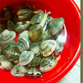 xrymamax's cooksnap of when they made 少量の水で♪あさりの砂抜き.