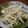 ゆめぺこ's cooksnap of when they made さっぱり♪　えのきの梅和え.
