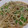 わんわんまん's cooksnap of when they made お給料日前に♥もやしとかいわれの味噌炒め.