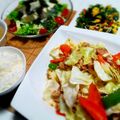 Ｈug's cooksnap of when they made 豚バラとキャベツのさっぱり中華炒め.