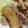そらとはる:D:D's cooksnap of when they made 簡単やわらか～☆鶏の照り焼き.