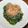 daikanon's cooksnap of when they made モロヘイヤのおひたし.