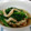 seyusaka's cooksnap of when they made 『味付け』簡単！小松菜と油あげの煮びたし.