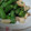 みやびうさぎ's cooksnap of when they made ◎ささっと作る！エリンギとアスパラ炒め.