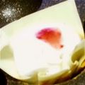 なるchan's cooksnap of when they made たこ焼きプレートで、マシュマロ餃子♪.
