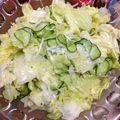 seraphicn's cooksnap of when they made 絶品☆チョレギサラダ.
