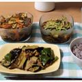 ゆかりだま's cooksnap of when they made ナスとピーマンのピリ辛焼き.