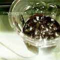 yangpa's cooksnap of when they made 冷凍ブルーベリーで☆ブルーベリージャム.