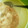 こりらっくま2's cooksnap of when they made 梅シソしらすの☆和風リゾット.