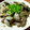 6mori's cooksnap of when they made 我が家の超簡単！あさりの酒蒸し♪.