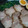 やままや's cooksnap of when they made ほうれん草で食べるうちの煮豚.