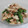 Hoink's cooksnap of when they made いんげんとささみの梅はちみつ和え.