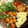 ♡KMS♡'s cooksnap of when they made 簡単♪昆布茶ネギのたまご焼き♡.