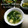 えまっちママ's cooksnap of when they made ほうれん草のかきたま汁.