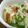 おっちょこび's cooksnap of when they made 山芋のさっぱりあえ.