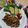 キノコりんりん's cooksnap of when they made 長ひじき入り豆腐ハンバーグ.