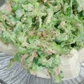sgwyk's cooksnap of when they made 簡単♪ｺﾞｰﾔと豆腐のﾂﾅｻﾗﾀﾞ.
