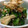 こねちゃん☆'s cooksnap of when they made おくらの梅干し和え.