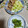 まりゆりひろこ's cooksnap of when they made 豚のしょうが焼き.
