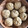 shok's cooksnap of when they made 551みたい！と言われる肉まん.