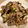 クックLZ7E8G☆'s cooksnap of when they made 牛肉と茄子とキノコのオイスター炒め.