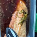 りと's cooksnap of when they made 簡単！圧力鍋　とろとろチャーシュー！.