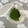 まこさんど's cooksnap of when they made 【話題入り】長持ち新鮮♪大葉の保存法.