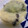 クックN4VSXF☆'s cooksnap of when they made 白菜とつみれのクリーム煮.