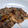 yukoko☆'s cooksnap of when they made とろふわ〜焼きがんも.
