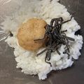 きゃろぽて's cooksnap of when they made 唐揚げおにぎり塩昆布.