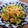 リンリン☆☆☆'s cooksnap of when they made ゴーヤと卵の炒めもの.