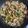 クックU4M9OT☆'s cooksnap of when they made 【簡単】豚肉と野菜の味噌炒め.