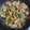 クックU4M9OT☆'s cooksnap of when they made 【簡単】豚肉と野菜の味噌炒め.