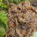 ゆるмαмα's cooksnap of when they made BBQにも★特製だれ漬け！豚こま焼肉.