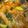 Salsa Coyotes 0h's cooksnap of when they made 辛旨！また食べたくなるユッケジャンスープ.