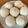 ☻くるみ☻'s cooksnap of when they made 一晩かけてじっくり醗酵パン*丸パン編.