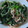 冷凍みかんしろっぷ's cooksnap of when they made ほうれん草とえのきのナムル【作り置き】.