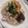 ABOママ☆'s cooksnap of when they made 豚しゃぶとなすのぶっかけおろしそうめん.