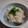 気まぐれ♡雨おんな's cooksnap of when they made 大根のとろり中華粥.