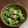 四児のハハ's cooksnap of when they made 無限甘とう美人（ししとう、ピーマンでも）.