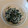 ラリー＆サラ's cooksnap of when they made （保育所）ほうれん草の海苔和え.