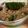 クック8VOGCZ☆'s cooksnap of when they made 絹豆腐で！ぷるぷるお抹茶わらび餅風.