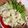 クック49L4Ho☆'s cooksnap of when they made アレンジ色々！カリフラワーサラダ.