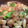 ぱっぺんぽん's cooksnap of when they made 簡単！美味しい！豚バラと長ねぎの甘辛炒め.