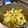 め目め's cooksnap of when they made うますぎキュウリ☆大量消費にも♪.