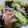 わわわわーい's cooksnap of when they made 子供大好き♪きゅうりとしらすの酢の物.
